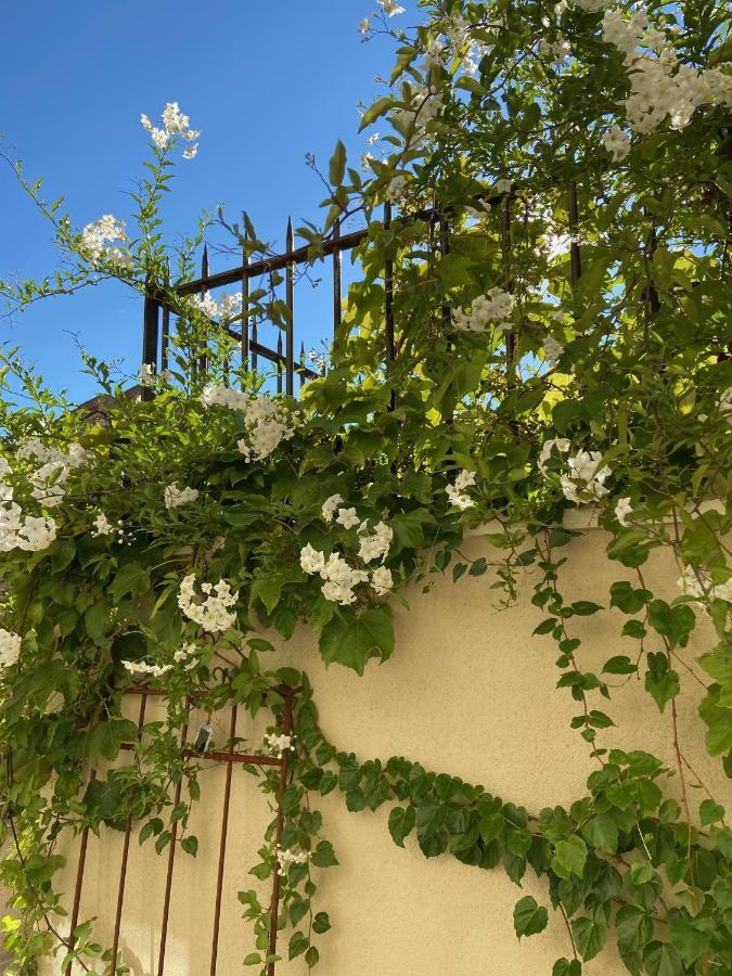 Le Jardinet De Rosa Maison De Village Eygalieres  Luaran gambar